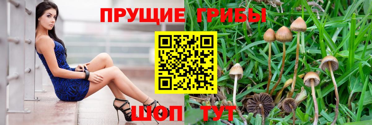 Галлюциногенные грибы мицелий Гурьевск