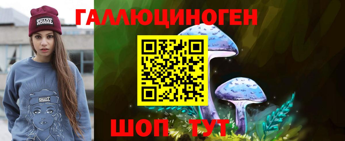 Псилоцибиновые грибы GOLDEN TEACHER  Вход с VPN  Гурьевск 